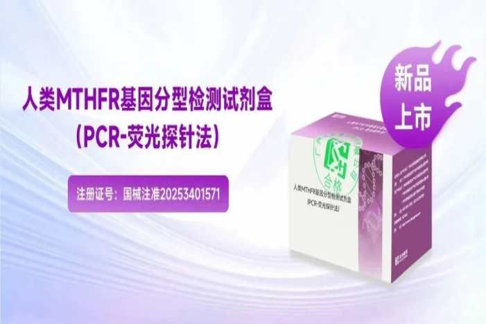 新品上市!MTHFR基因檢測:解碼葉酸代謝,助力科學補充